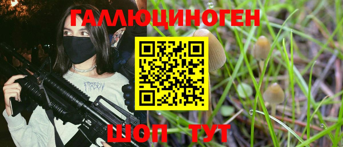 Северобайкальск  Галлюциногенные грибы MAGIC MUSHROOMS  Вход с VPN  купить наркотик  Псилоцибиновые грибы Cubensis 